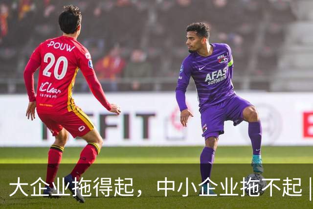 大企业拖得起，中小企业拖不起 | 微观视界