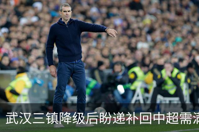 武汉三镇降级后盼递补回中超需满足三条件