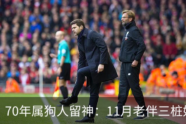 70年属狗人留神：11月老伴三桩好事齐上门，稳住别声张